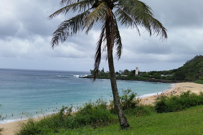 Circle Island 8hr Private Small Group Tour - Green World Coffee Farms: start with Hawaii’s real coffee story
