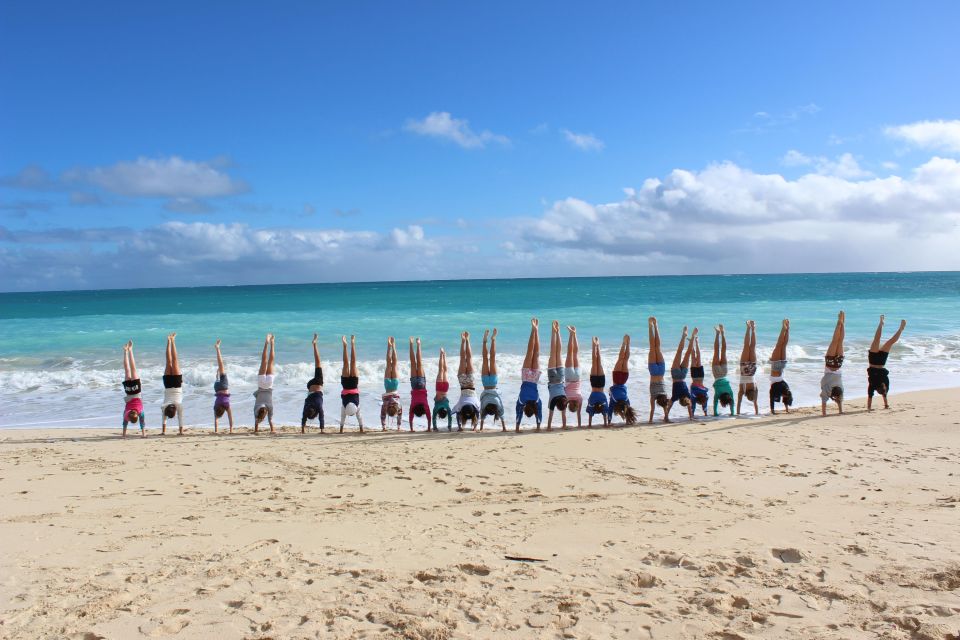 Circle Island: Swim with Turtles and Explore Paradise Oahu - Haleiwa Pass-By Stops and North Shore Mood