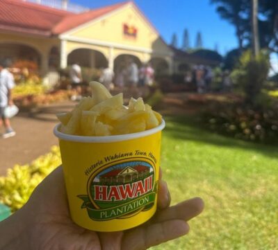 Circle Island: Swim with Turtles and Explore Paradise Oahu - Waikiki Pickup Timing: How to Start the Day Smoothly