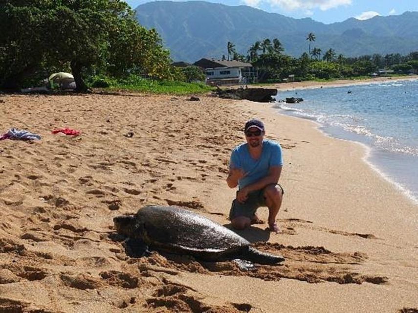 Circle Island: Swim with Turtles and Explore Paradise Oahu - The Drive Around Makapuu and the Windward Coast Feeling