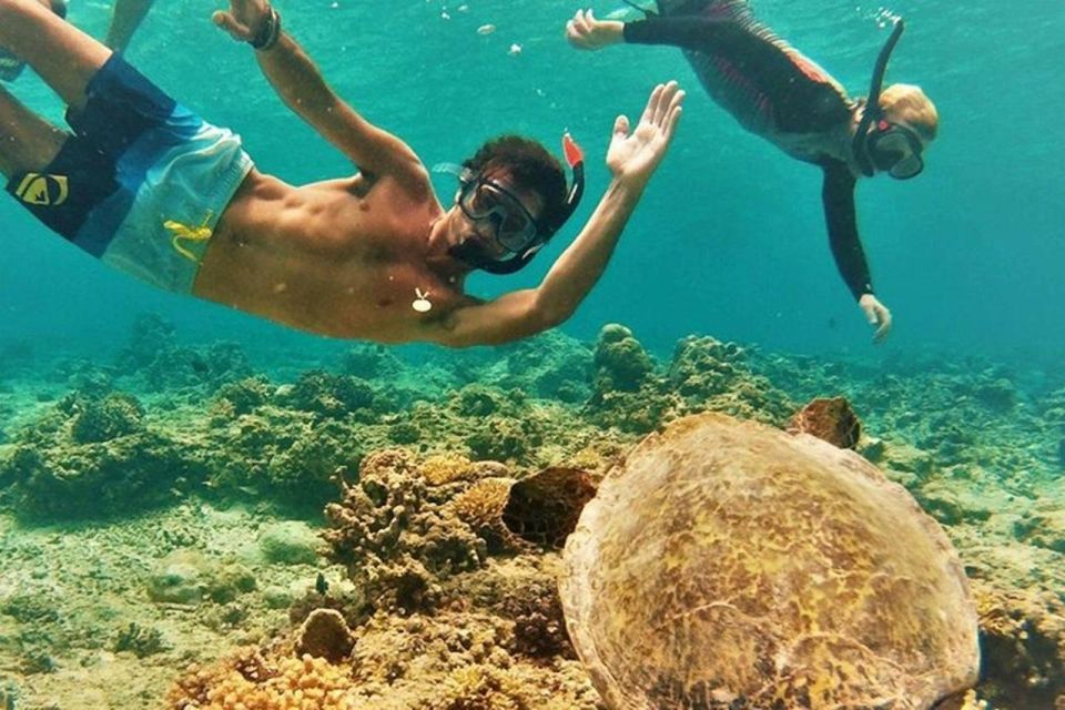 Circle Island: Swim with Turtles and Explore Paradise Oahu - Mokoliʻi and the Movie-Set Energy of Oahu’s Coast