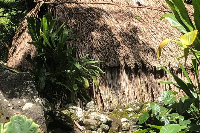 Circle Island tours - swim with turtles,Private & Small Group Tours - Lunch at Local Places: Shrimp Trucks, Mom-and-Pop Stops, and Smart Choices