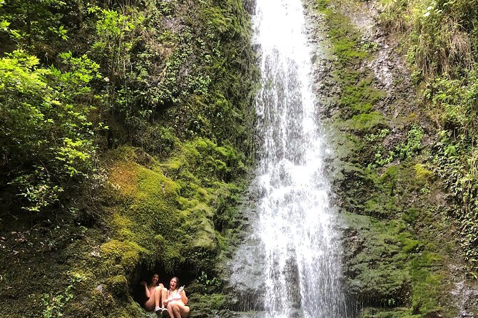 Circle Island tours - swim with turtles,Private & Small Group Tours - Haleʻiwa Town and a Macadamia Nut Farm: The Best Kind of Ending