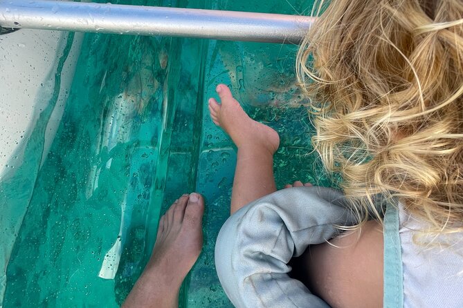 Clear Bottom Glassy Kayak Rental | MAUI | Safe and Stable Kayaks - Key things to know before you go