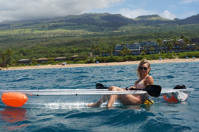 Clear Bottom Glassy Kayak Rental | MAUI | Safe and Stable Kayaks - What you might see under the glass: turtles, whales, and calm spacing