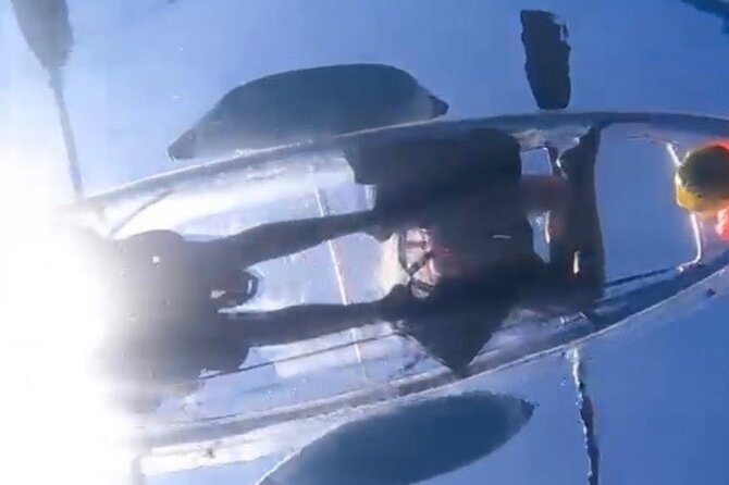 Clear Bottom Glassy Kayak Rental | MAUI | Safe and Stable Kayaks - Who should book this clear-bottom Maui kayak rental