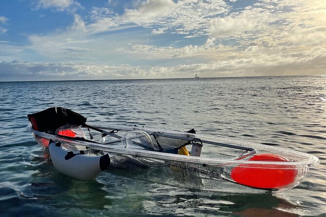 Clear Bottom Glassy Kayak Rental | MAUI | Safe and Stable Kayaks - Should you book Glassy Kayaks?