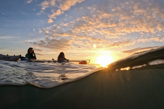 Clear Kayak Sunset and Glow Tour in Maui - Wildlife Watching From Below: Green Sea Turtles and Clear-Kayak Advantage