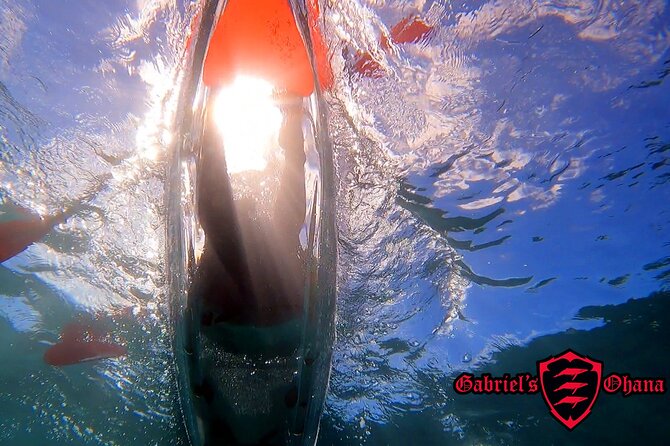 Clear Kayak Tour with Pontoons and Optional Snorkeling-Unlimited - What makes this clear-kayak tour worth your morning?