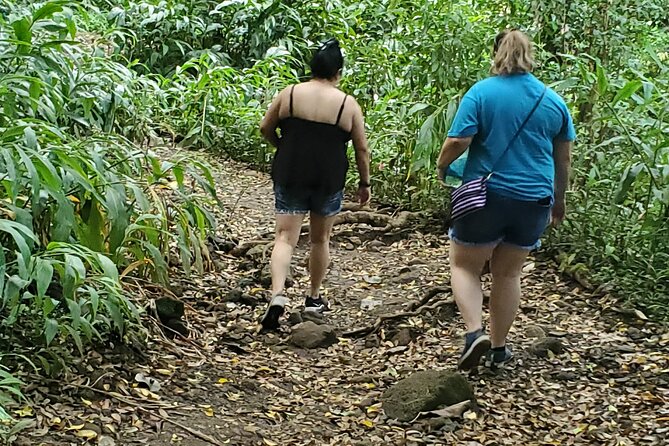 Custom Island Adventures Tour - North Shore and Haleiwa: beaches, coffee breaks, and casual local fun