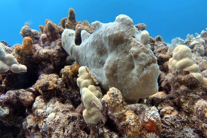 Custom Private Adventure - Scuba options: certified participants and Intro SCUBA on request
