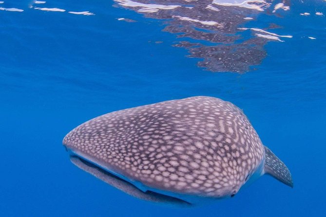 Custom Private Adventure - Who should book this charter, and who should think twice