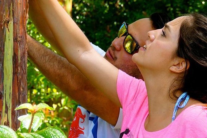 Deluxe Halfway to Hana: Private Tour from Kahului - Guides make the difference: pace, stories, and actual local moments