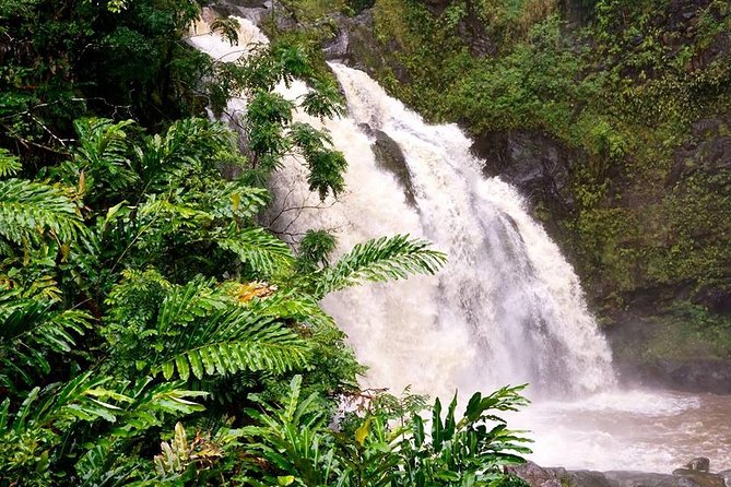 Deluxe Halfway to Hana: Private Tour from Kahului - Value check: what you’re really paying for