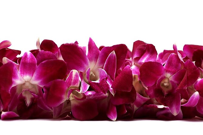 Deluxe Orchid Lei Greeting (Maui, Kahului Airport, OGG) - Key Things to Know Before You Go