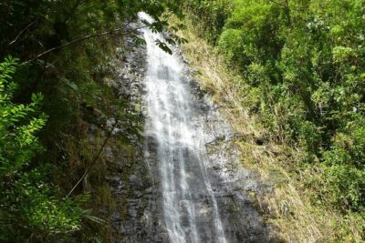 Diamond Head and Manoa Falls Hike and Adventure Tour - Diamond Head State Monument: your crater hike with audio guidance