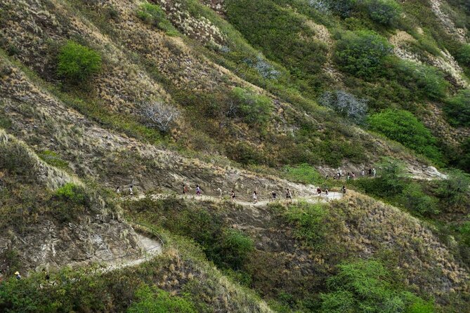 Diamond Head and Manoa Falls Hike and Adventure Tour - Small group and private feel: how the tour keeps attention on you