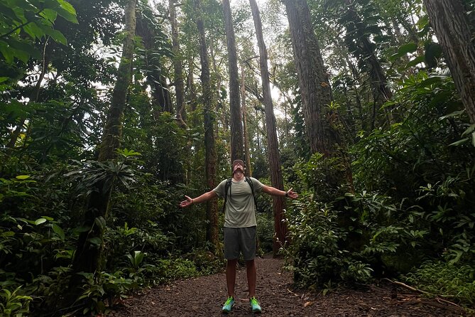 Diamond Head and Manoa Falls Hike and Adventure Tour - Price value: what $149 per group really buys you