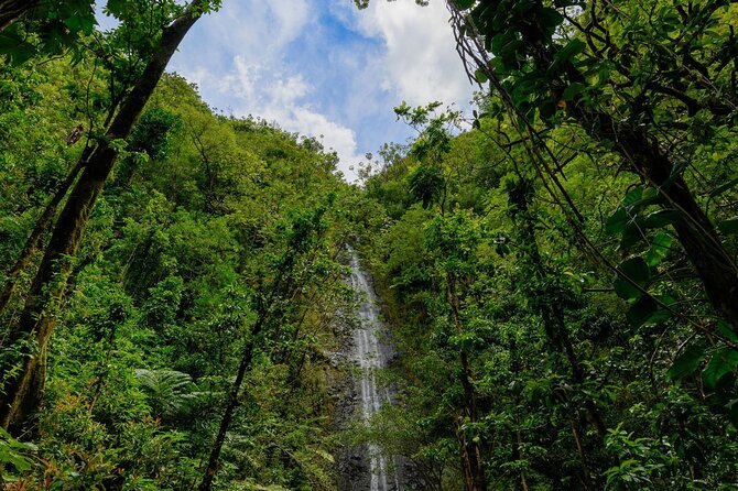 Diamond Head and Manoa Falls Hike and Adventure Tour - Comfort and pacing tips for a 6.5-hour day