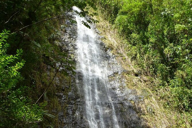 Diamond Head and Manoa Falls Hike and Adventure Tour - Diamond Head State Monument: your crater hike with audio guidance