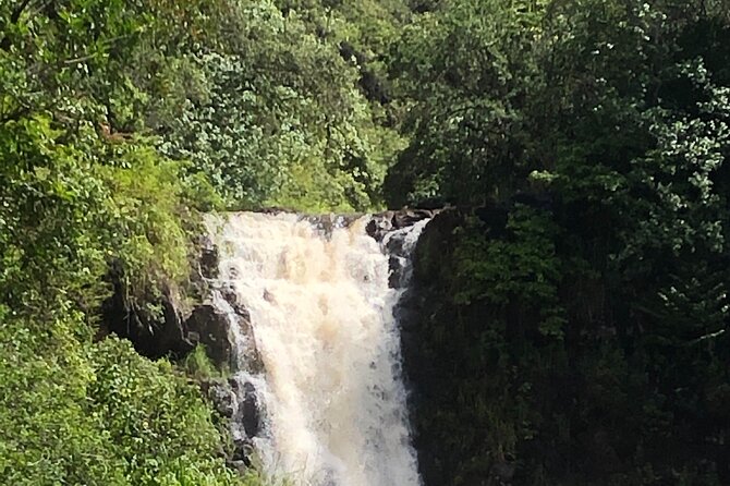 Diamond head crater trail , Sightseeing & South Side beach day - Value Check: Is $150 Worth It for This Kind of Day?