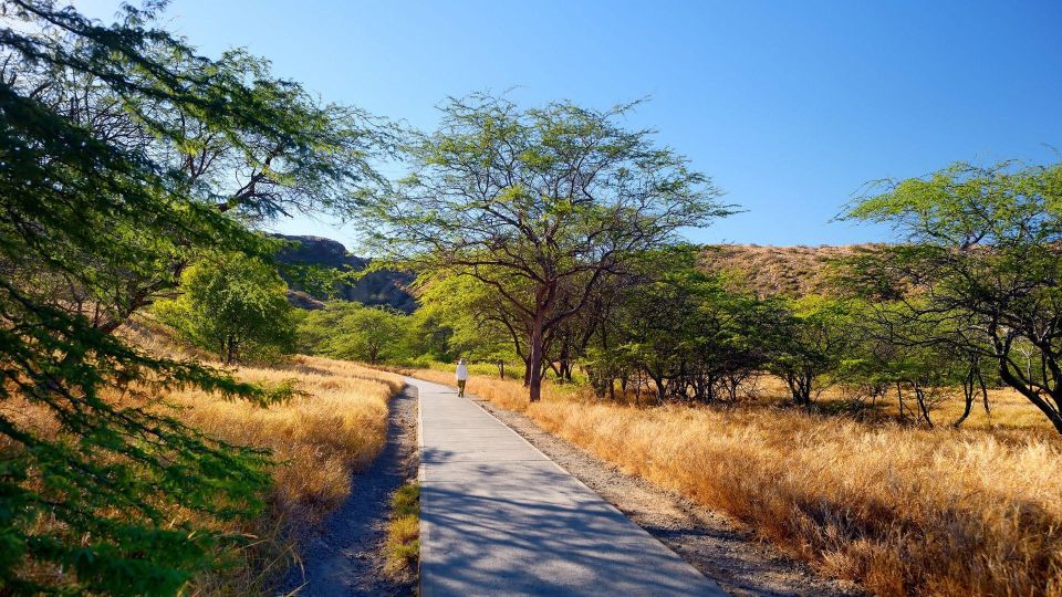 Diamond Head Manoa Falls - Breakfast Break: How to Pair Fuel With a Beachy Reset
