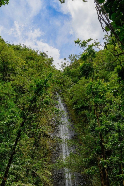 Diamond Head Manoa Falls - The Guide Factor: Why Lucas Gets Mentioned So Often