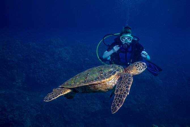Discover Scuba Diving Class from Lahaina - Key Things That Make This Scuba Class Work