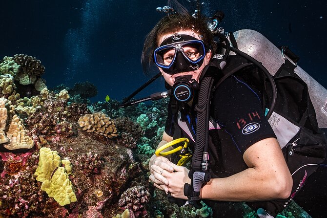 Discover Scuba Diving Class from Lahaina - What You’re Really Signing Up For: Discover Scuba in Lahaina