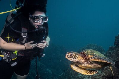 Discover Scuba Diving Class from Lahaina - Before You Go: eLearning + the Medical Questionnaire