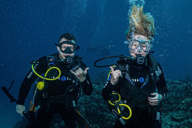 Discover Scuba Diving Class from Lahaina - Wildlife and Color: What Makes the Underwater Part Worth It