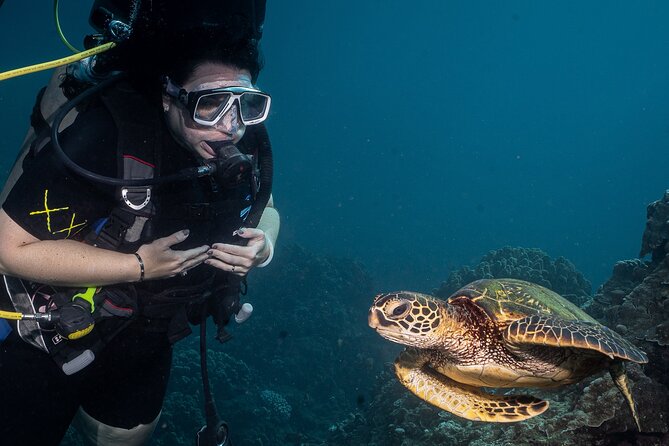 Discover Scuba Diving Class from Lahaina - Before You Go: eLearning + the Medical Questionnaire