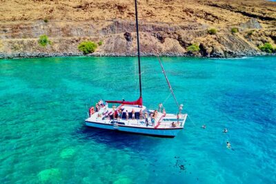 Discover the Magic of Coral Garden’s Turtle Town - Maalaea Harbor - Turtle Town, Coral Garden, or Olowalu Reef: What You’re Really Seeing