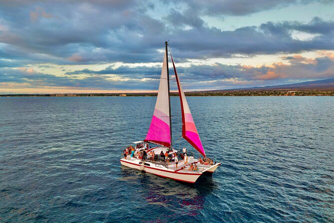 Discover the Magic of Coral Garden’s Turtle Town - Maalaea Harbor - Whale and Dolphin Spotting: What Seasonal Means Here