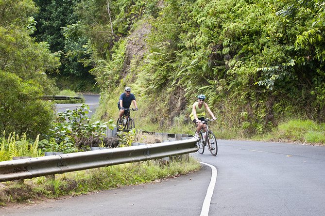 Downhill Bike and Ko'olau Waterfall Hike Tour - Key things I’d circle before you book
