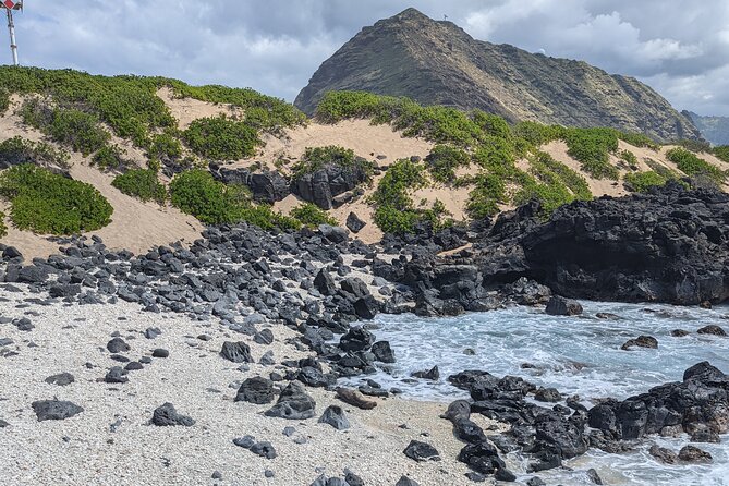 Famed North Shore Tour - Pua‘ena Point Beach Park: sea turtles, calm-water snorkeling, and mountain views
