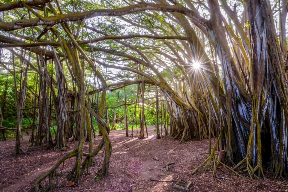 First Day Must 10-Hour Sunrise & Full Island Photo Tour - Key highlights worth getting excited about