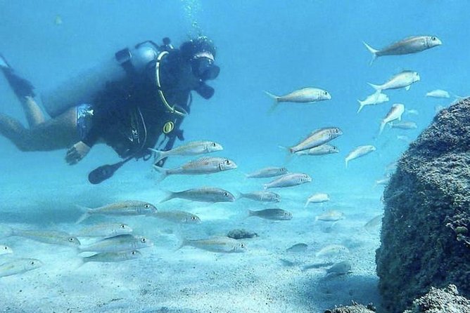 First-Time Scuba Diving in Honolulu + Free Videos - What you’re signing up for at Honolulu’s Try-Scuba Lesson