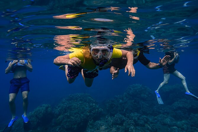 First Timers and Non-Swimmers Snorkeling Experience in Wailea - Getting in the water without losing your nerve