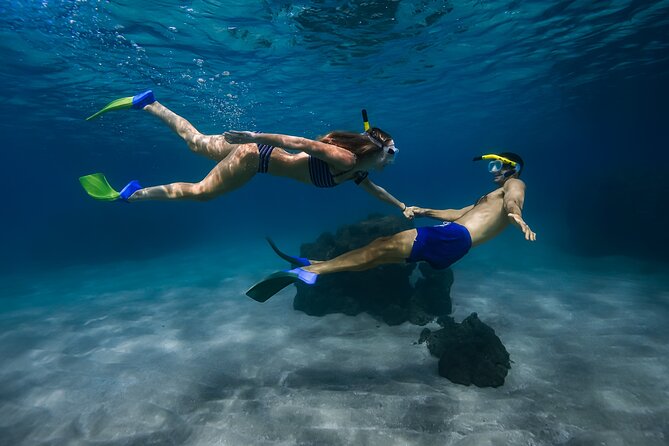 First Timers and Non-Swimmers Snorkeling Experience in Wailea - Price reality check: value at $139 per person