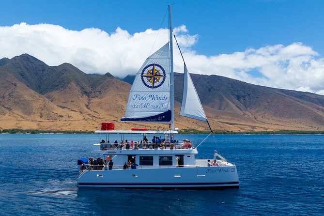 Four Winds Maui Afternoon Snorkel Tour to Coral Gardens - Price and Value: What $135.73 Buys You