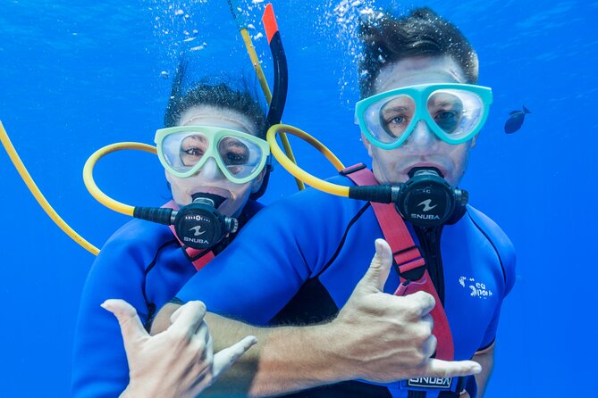 Four Winds Maui Afternoon Snorkel Tour to Coral Gardens - Coral Gardens Snorkeling: What You’re Actually Here For