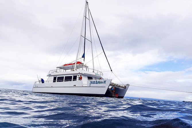 Four Winds Molokini Snorkeling Tour from Maalaea Harbor - Why Molokini’s clear water is the whole point