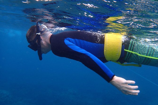 Four Winds Molokini Snorkeling Tour from Maalaea Harbor - The cruise out: Haleakala views and island-spotting