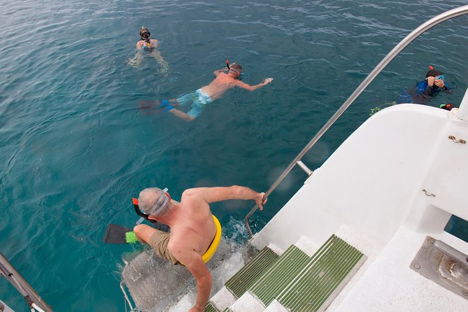 Four Winds Molokini Snorkeling Tour from Maalaea Harbor - Molokini snorkeling time: what you’ll actually do