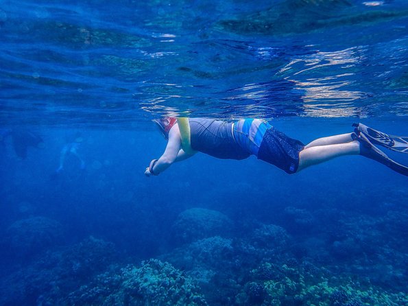 Four Winds Molokini Snorkeling Tour from Maalaea Harbor - Food and drinks: breakfast, lunch, and the boat bar