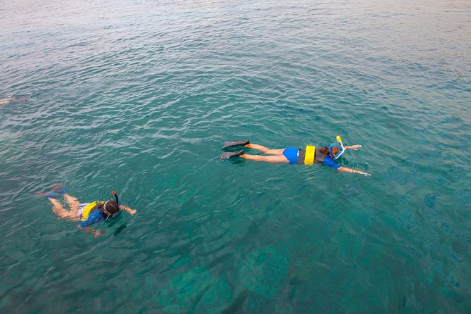 Four Winds Molokini Snorkeling Tour from Maalaea Harbor - Price and value: how $202.59 stacks up