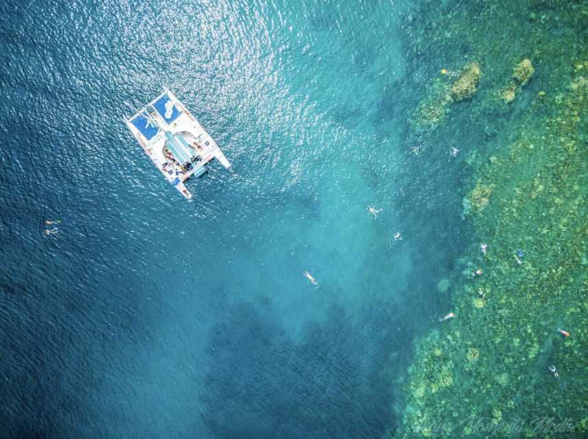 From Kaanapali: Afternoon West Maui Snorkeling w/ Drinks - Appetizers and open bar: why food is a big part of the value