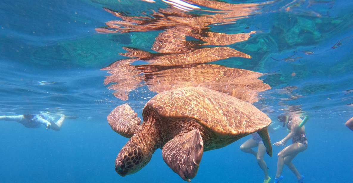 From Ka'anapali: West Maui Half-Day Snorkel Tour w/ Food - West Maui Snorkeling From Ka’anapali: Why This Half-Day Works