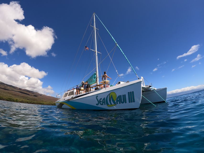 From Ka'anapali: West Maui Half-Day Snorkel Tour w/ Food - Snorkeling Reality Check: What You’ll See Underwater